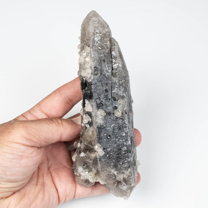 Phenakite on Smoky Quartz - Mt Antero, CO 477 g 163x53mm DT - InnerVision Crystals