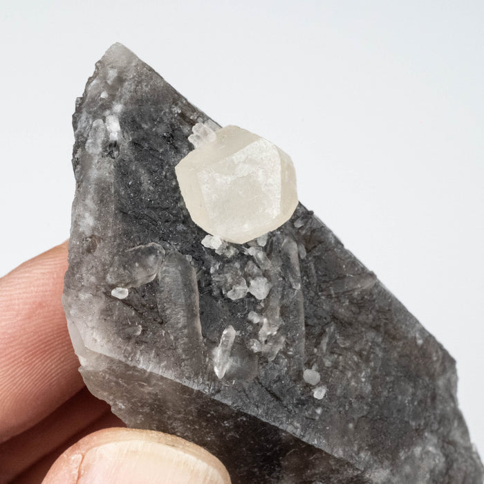 Phenakite on Smoky Quartz - Mt Antero, CO 59 g 70x33mm - InnerVision Crystals