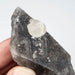 Phenakite on Smoky Quartz - Mt Antero, CO 59 g 70x33mm - InnerVision Crystals