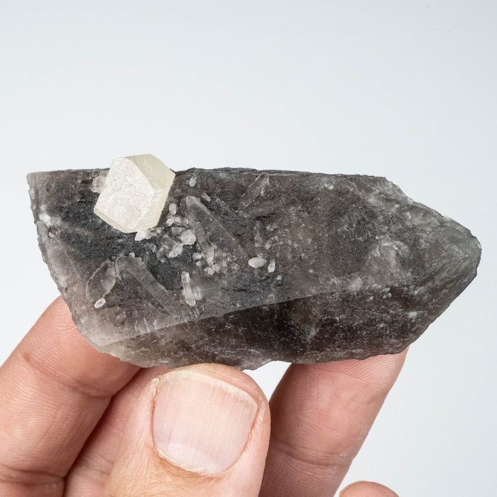 Phenakite on Smoky Quartz - Mt Antero, CO 59 g 70x33mm - InnerVision Crystals