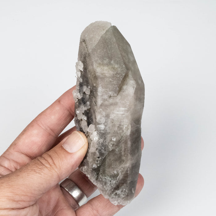 Phenakite on Smoky Quartz - Mt Antero, CO 335 g 127x55mm DT Self Healed
