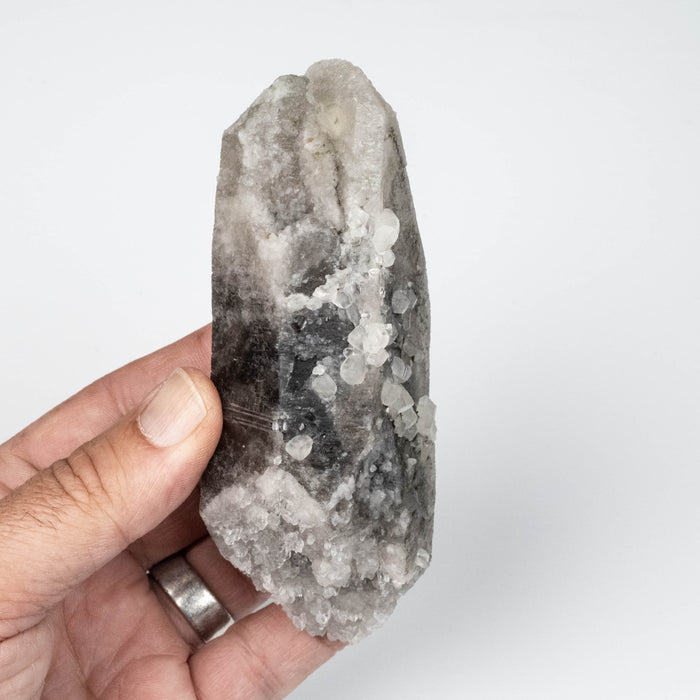 Phenakite on Smoky Quartz - Mt Antero, CO 335 g 127x55mm DT Self Healed