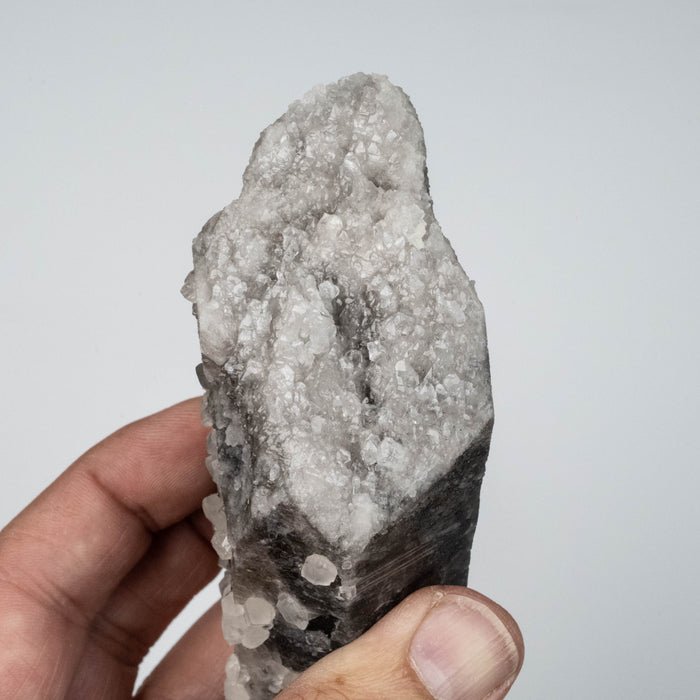 Phenakite on Smoky Quartz - Mt Antero, CO 335 g 127x55mm DT Self Healed