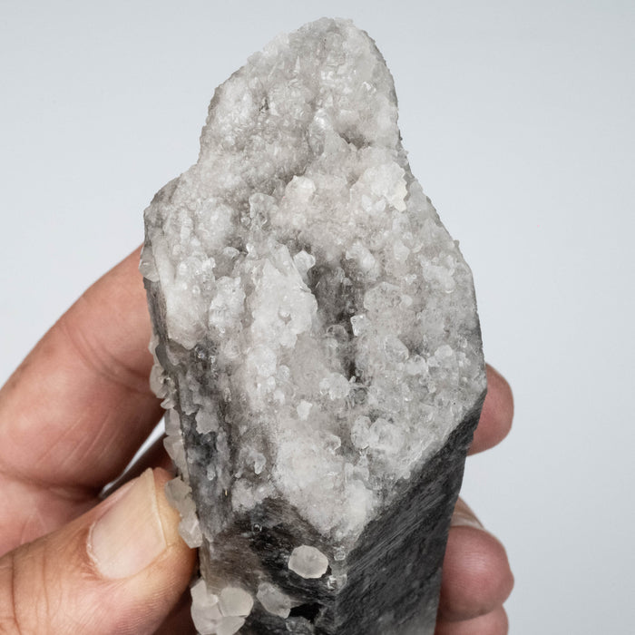 Phenakite on Smoky Quartz - Mt Antero, CO 335 g 127x55mm DT Self Healed