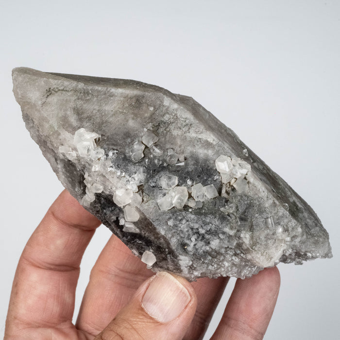 Phenakite on Smoky Quartz - Mt Antero, CO 335 g 127x55mm DT Self Healed