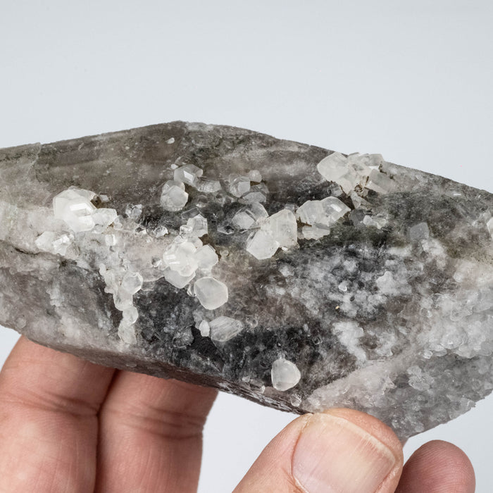 Phenakite on Smoky Quartz - Mt Antero, CO 335 g 127x55mm DT Self Healed