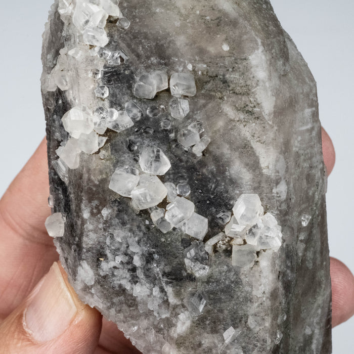 Phenakite on Smoky Quartz - Mt Antero, CO 335 g 127x55mm DT Self Healed