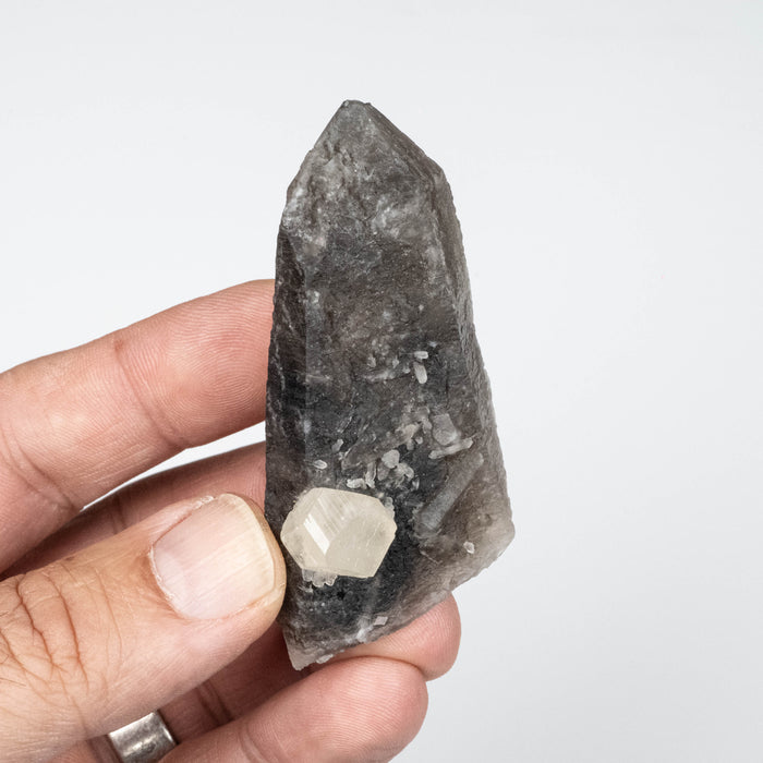 Phenakite on Smoky Quartz - Mt Antero, CO 59 g 70x33mm
