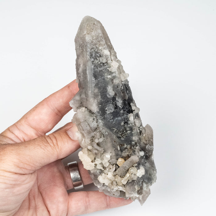 Phenakite on Smoky Quartz - Mt Antero, CO 477 g 163x53mm DT