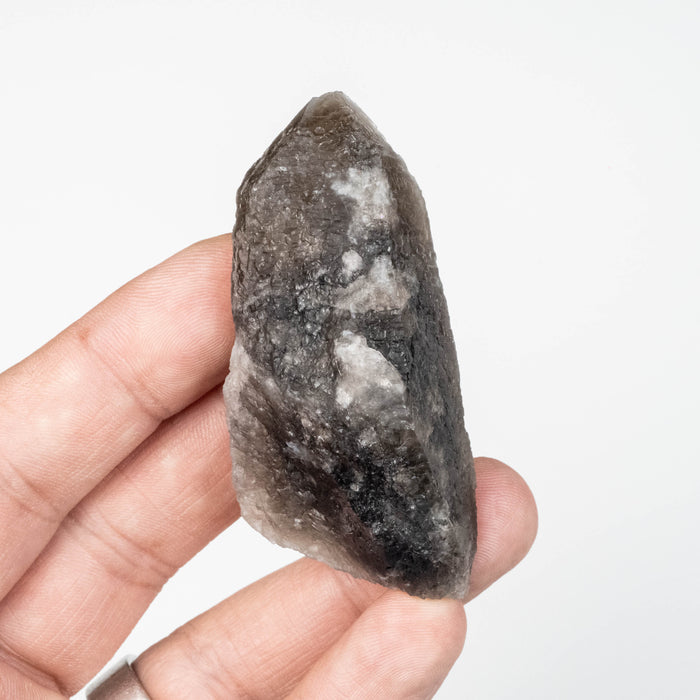 Phenakite on Smoky Quartz - Mt Antero, CO 59 g 70x33mm