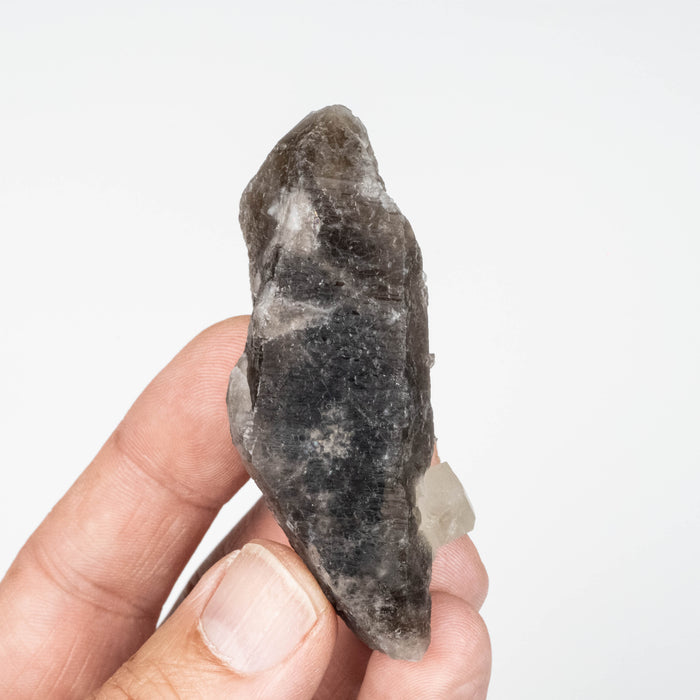 Phenakite on Smoky Quartz - Mt Antero, CO 59 g 70x33mm