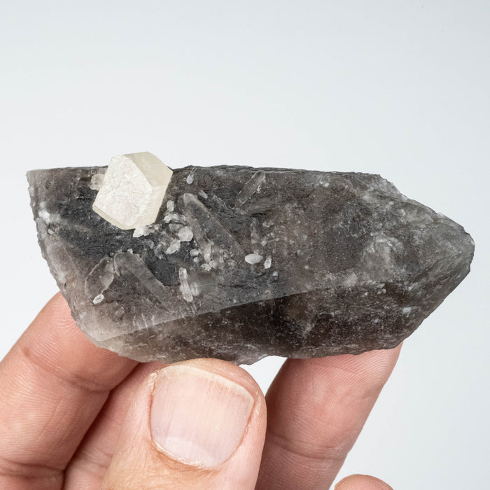 Phenakite on Smoky Quartz - Mt Antero, CO 59 g 70x33mm
