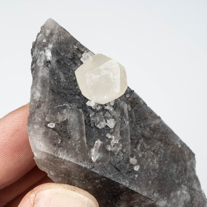 Phenakite on Smoky Quartz - Mt Antero, CO 59 g 70x33mm
