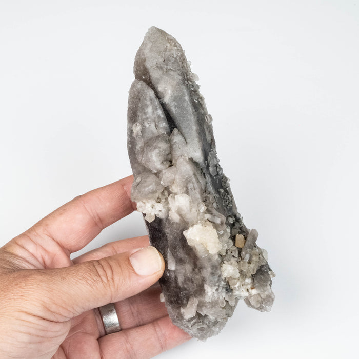 Phenakite on Smoky Quartz - Mt Antero, CO 477 g 163x53mm DT