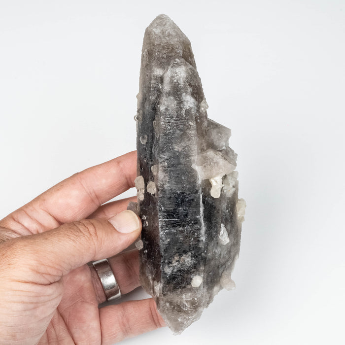 Phenakite on Smoky Quartz - Mt Antero, CO 477 g 163x53mm DT