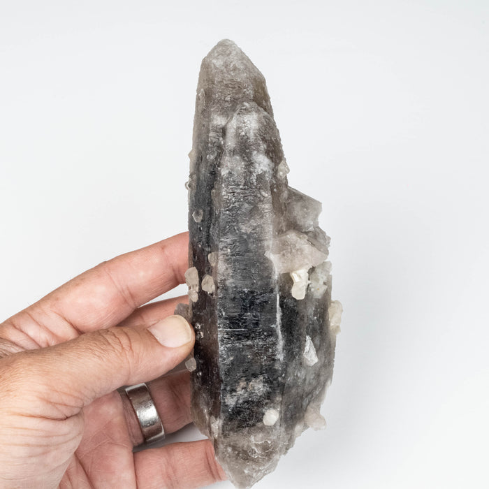 Phenakite on Smoky Quartz - Mt Antero, CO 477 g 163x53mm DT