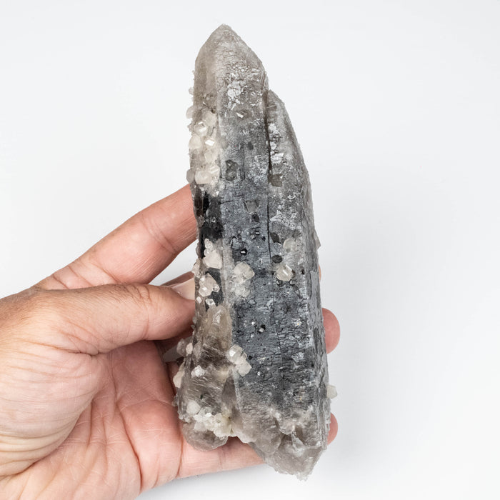 Phenakite on Smoky Quartz - Mt Antero, CO 477 g 163x53mm DT