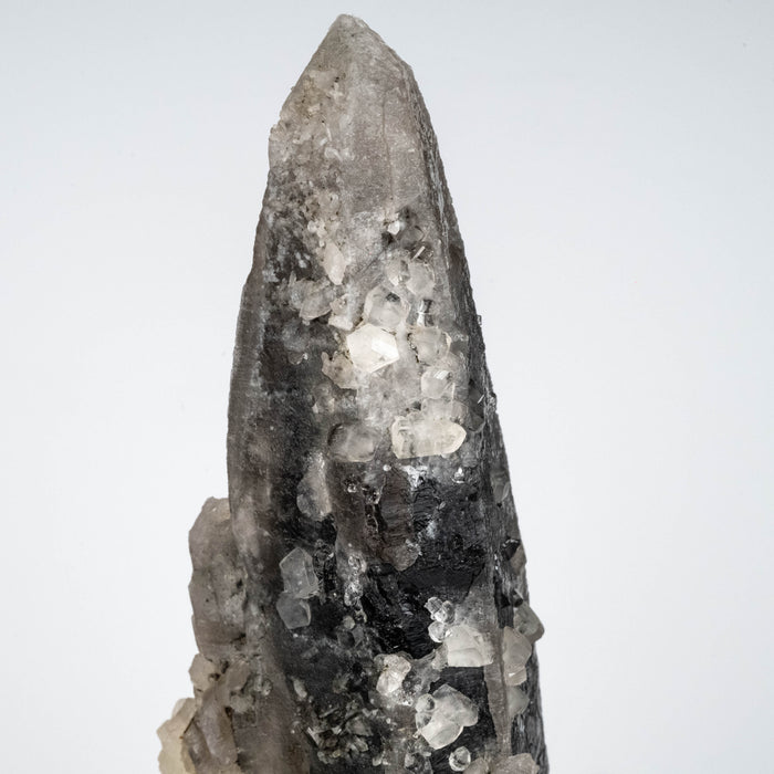 Phenakite on Smoky Quartz - Mt Antero, CO 477 g 163x53mm DT