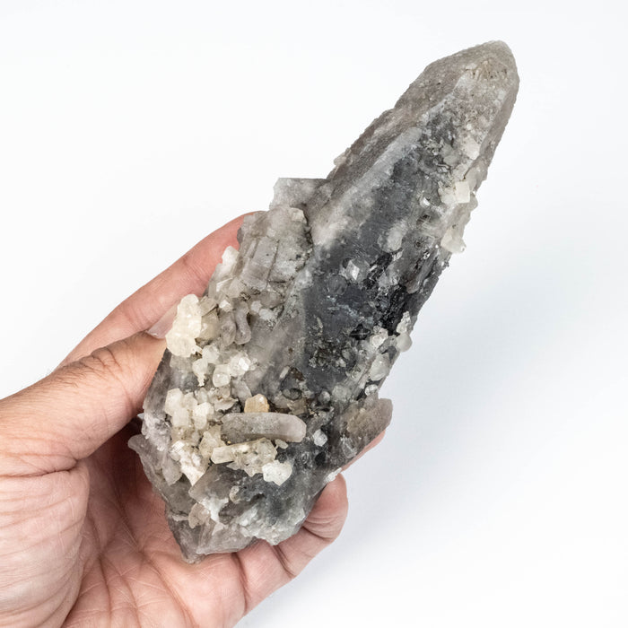 Phenakite on Smoky Quartz - Mt Antero, CO 477 g 163x53mm DT