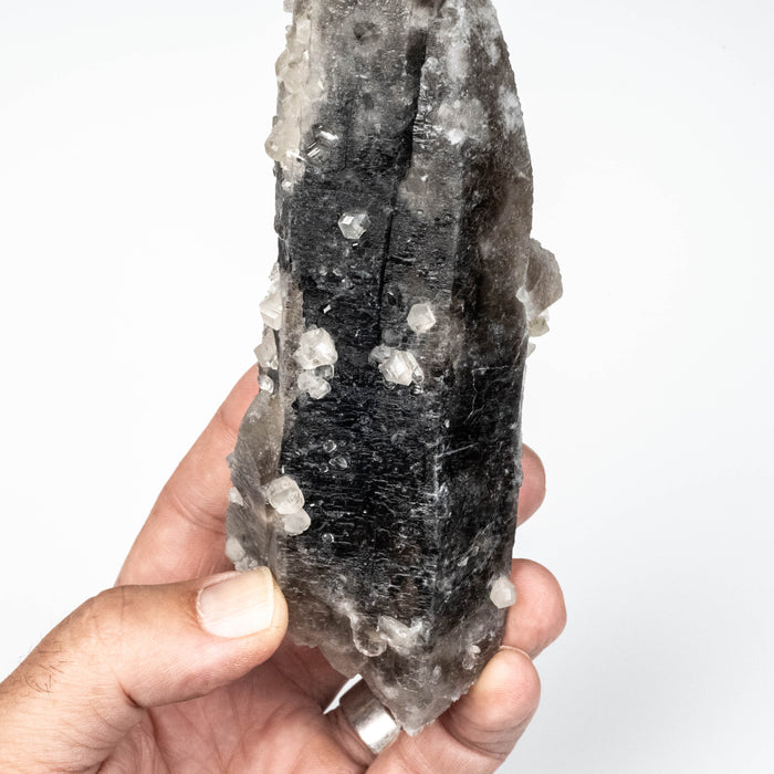 Phenakite on Smoky Quartz - Mt Antero, CO 477 g 163x53mm DT