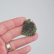 Moldavite Besednice Jezkovna 9.13 g 37x30x8mm AA+ - InnerVision Crystals