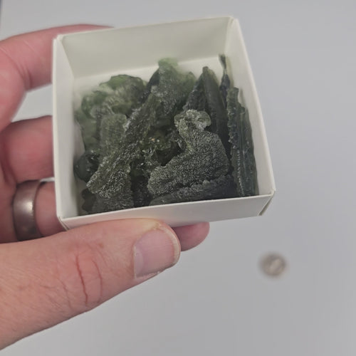 Moldavite - Angel Chimes 40.18 g | WHOLESALE LOT - InnerVision Crystals