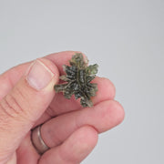 Moldavite Besednice Jezkovna 4.07 g 30x26x10mm AA+ - InnerVision Crystals