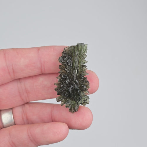 Moldavite Besednice Jezkovna 10.58 g 45x25x13mm AA - InnerVision Crystals