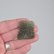 Moldavite Besednice Jezkovna 10.98 g 37x36x6mm Angel Chime AA - InnerVision Crystals