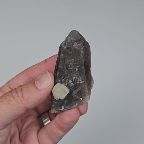 Phenakite on Smoky Quartz - Mt Antero, CO 59 g 70x33mm - InnerVision Crystals