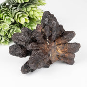 Prophecy Stone 204 g 80x63mm - InnerVision Crystals