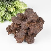 Prophecy Stone 210 g 79x69mm - InnerVision Crystals