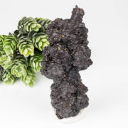 Prophecy Stone 212 g 106x47mm - InnerVision Crystals