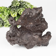 Prophecy Stone 220 g 92x91mm - InnerVision Crystals