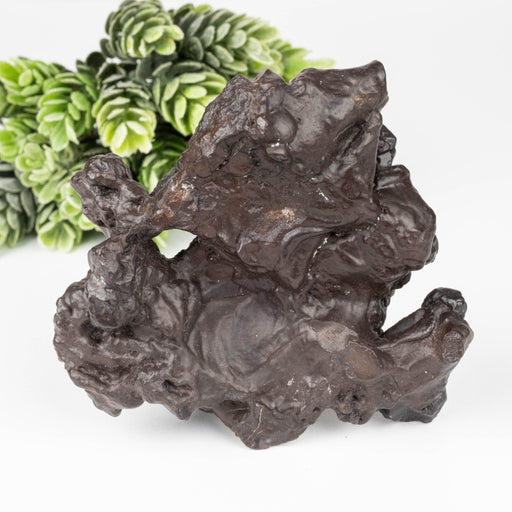 Prophecy Stone 220 g 92x91mm - InnerVision Crystals