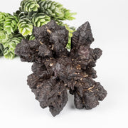 Prophecy Stone 228 g 85x71mm - InnerVision Crystals
