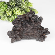 Prophecy Stone 236 g73x67mm - InnerVision Crystals