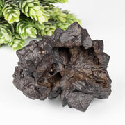 Prophecy Stone 260 g 77x58mm - InnerVision Crystals
