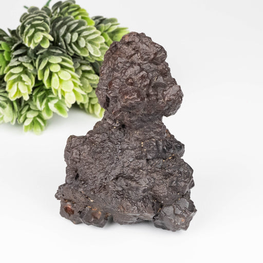 Prophecy Stone 270 g 73x72mm - InnerVision Crystals