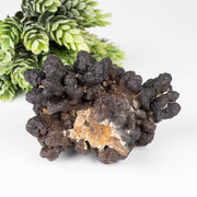 Prophecy Stone 280 g 88x65mm - InnerVision Crystals