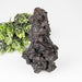 Prophecy Stone 292 g 114x61mm - InnerVision Crystals