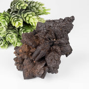 Prophecy Stone 300 g 98x67mm - InnerVision Crystals