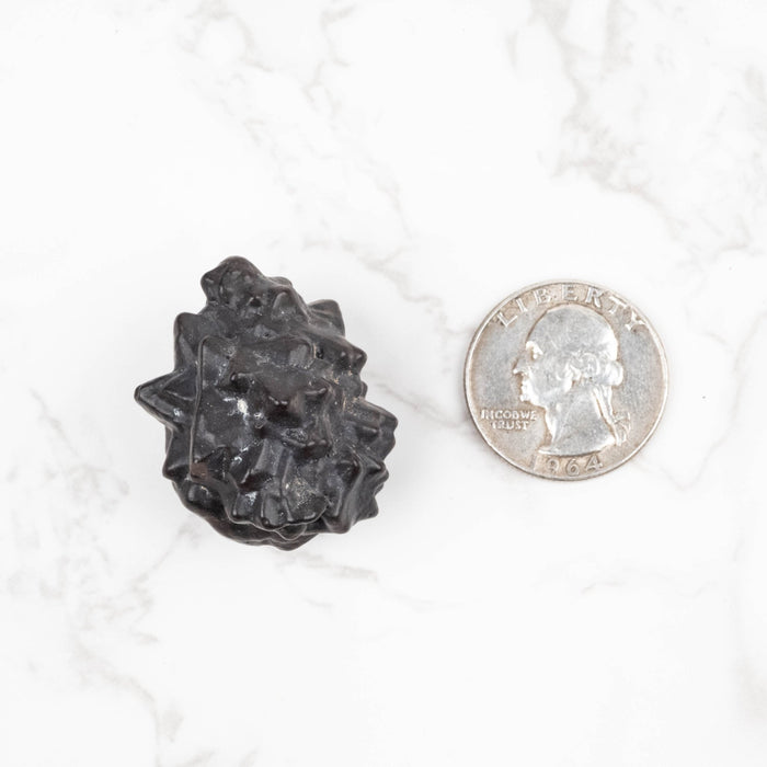 Prophecy Stone 32 g 33x26mm - InnerVision Crystals