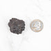 Prophecy Stone 36 g 32x30mm - InnerVision Crystals