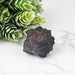 Prophecy Stone 36 g 32x30mm - InnerVision Crystals