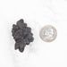 Prophecy Stone 37 g 46x30mm - InnerVision Crystals