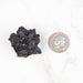 Prophecy Stone 42 g 37x33mm - InnerVision Crystals