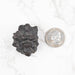 Prophecy Stone 43 g 37x33mm - InnerVision Crystals