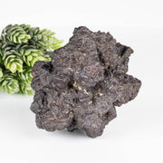 Prophecy Stone 506 g 91x74mm - InnerVision Crystals