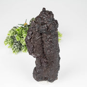 Prophecy Stone 558 g 136x53mm - InnerVision Crystals
